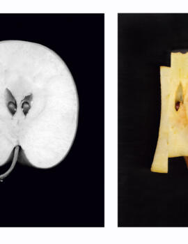 Davids Aepfel 40x50cm