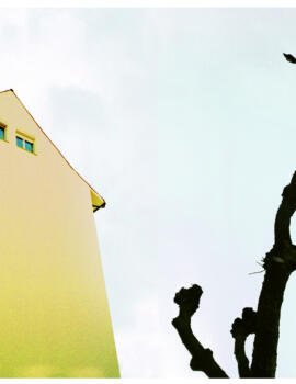 Art Report
Helvetia Insurance