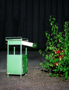 Vintage Walter tom-huber-vintage-walter-bilanz-capboard