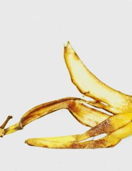 banana-tom-huber-bananenschlale