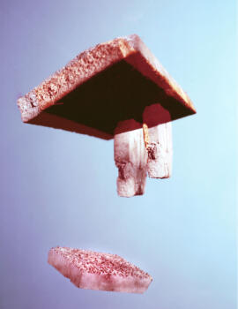 Who are they flying-stone-tom-huber