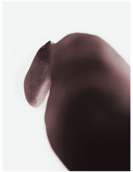 Collection stone-tom-huber-sculpture