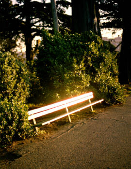 As I was on a walk Sunset-tomhuber-bank