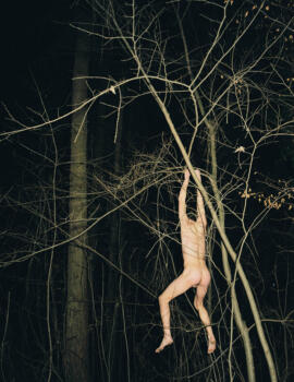 Best of Forest nakedman-tom-huber-forest-night