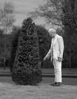 Moments of Honesty man-dog-tree-tom-huber-whitedress