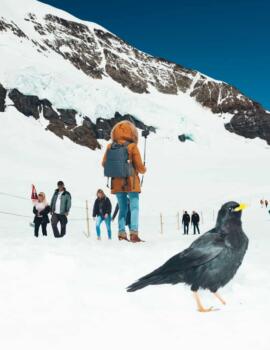 Jungfraujoch